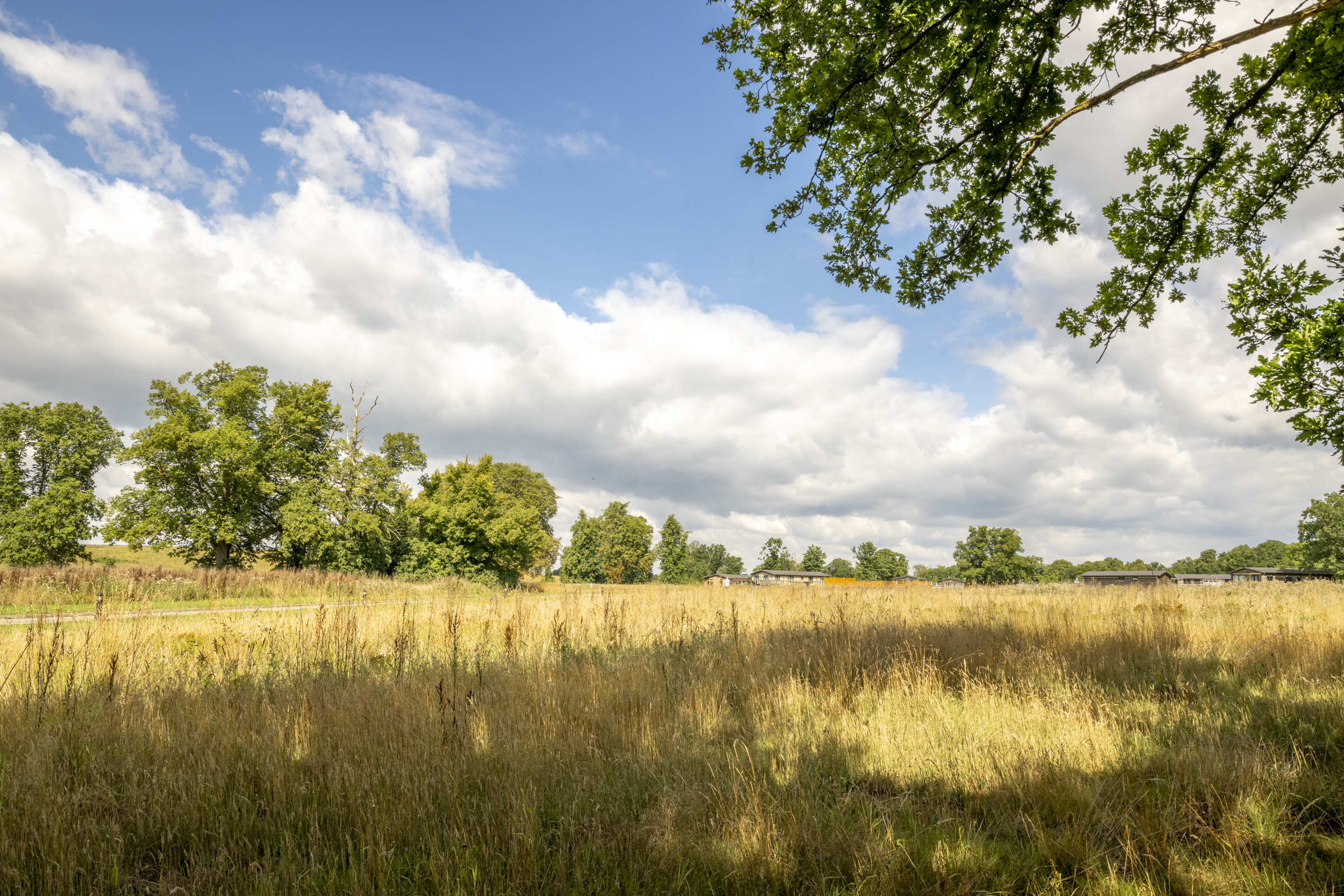Fields at Aspen Lodge Escape