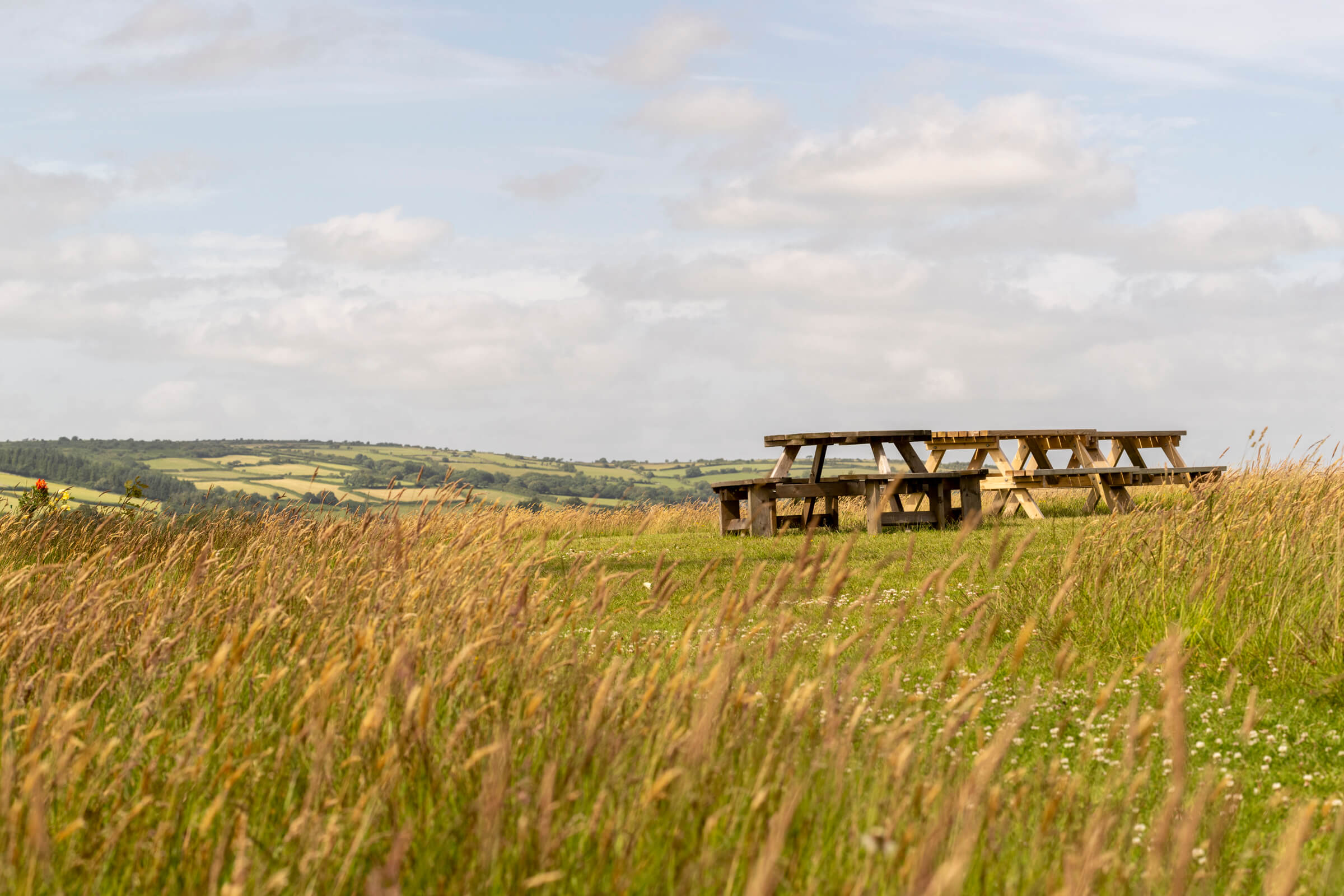 Benches and fields from Doublebois viewing point