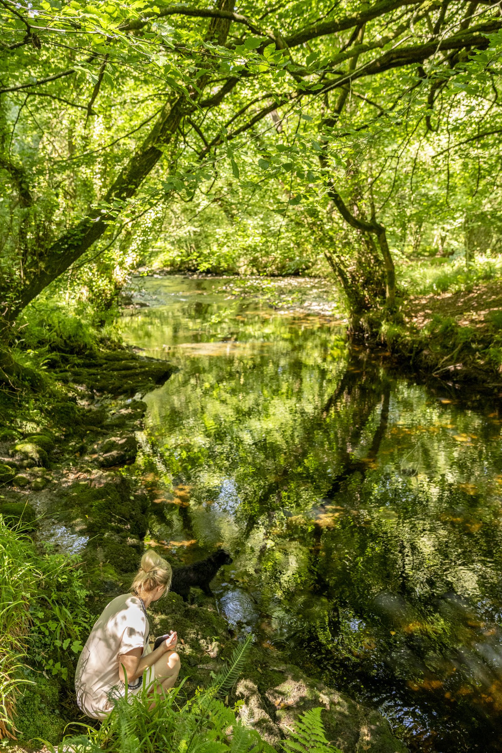 Fishing in the River Fowey in Doublebois Woods