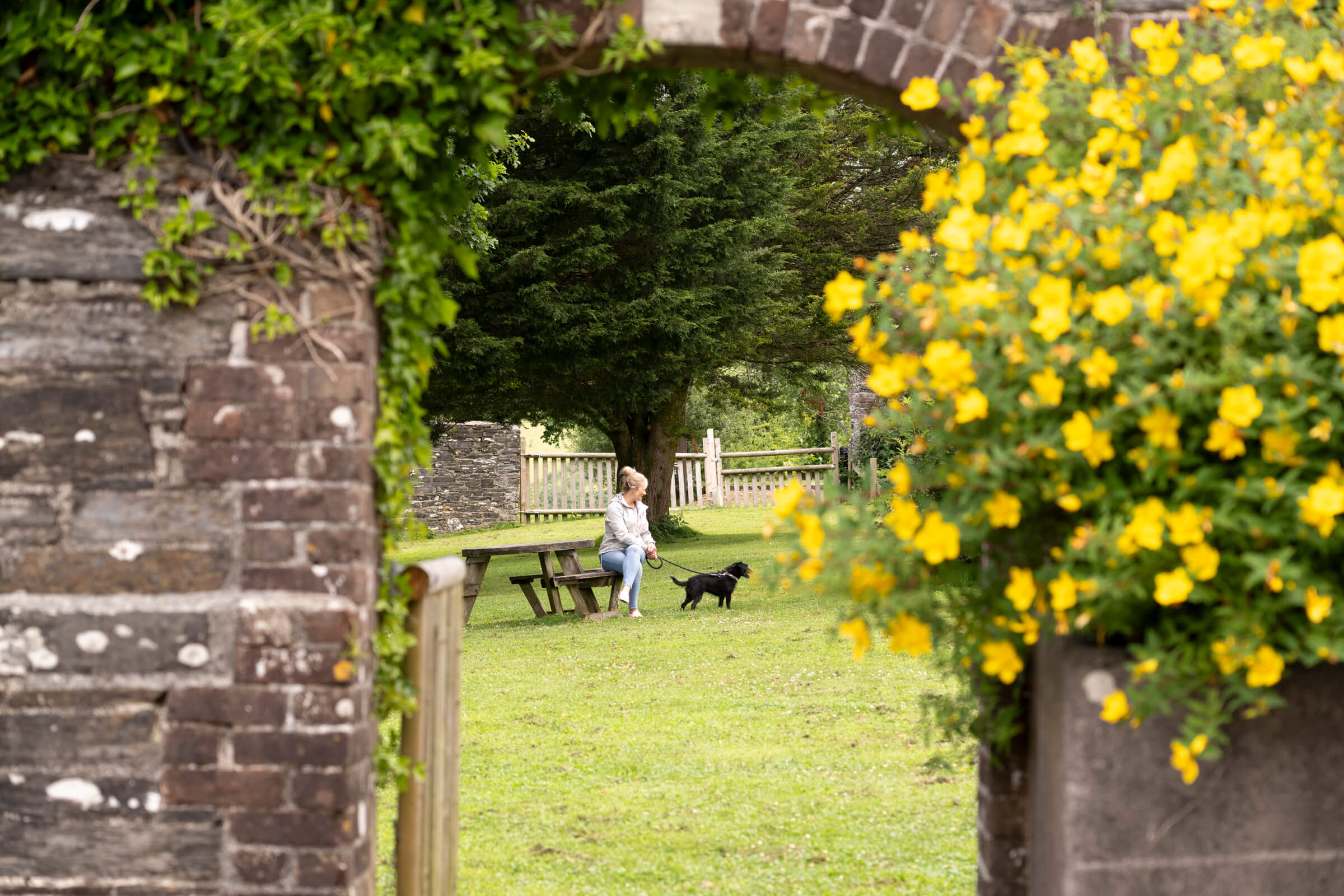 Woman sat on bench with pet in dog exercise field at Doublebois