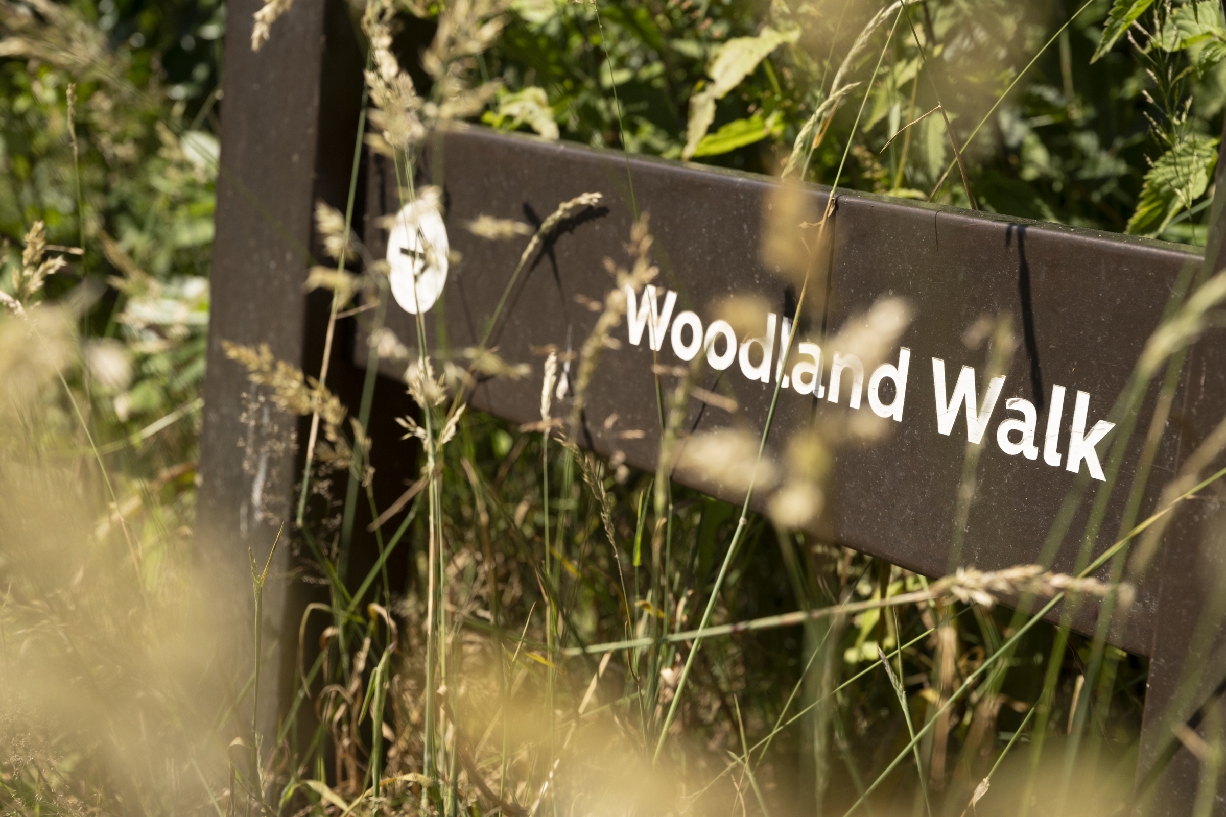 Woodland Walk Trail sign at Doublebois